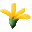  黄色い花　